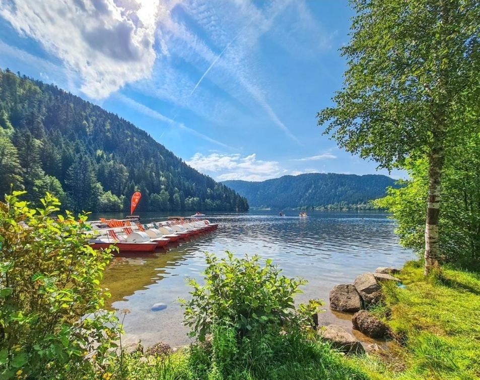 Gite Spa "La Foret Argentee" Proche Gerardmer Laveline-du-Houx Экстерьер фото
